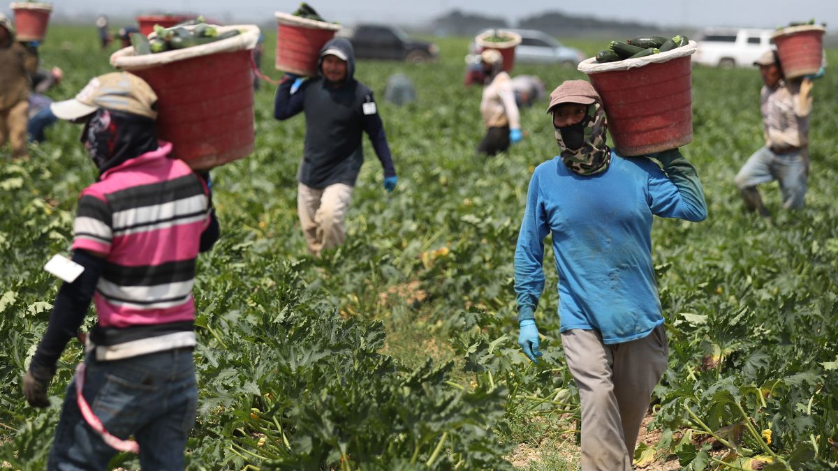 Will Immigrant Essential Workers be Included in Economic Recovery?