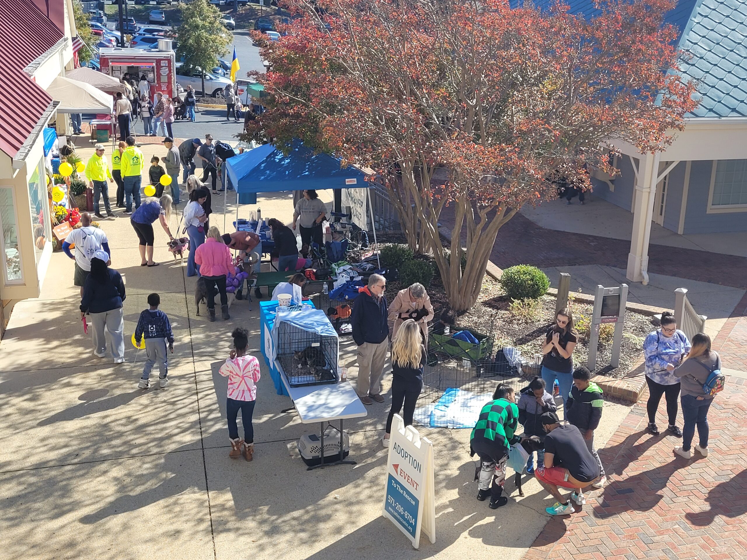 Barktoberfest Brings Adoptable Pets to Chinn Library